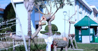 Freguesia de Lourinhã e Atalaia apresenta decorações de Natal em madeira Freguesia de Lourinhã e Atalaia apresenta decorações de Natal em madeira